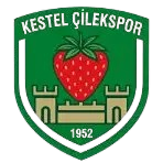 Kestel Cilekspor U19 队徽